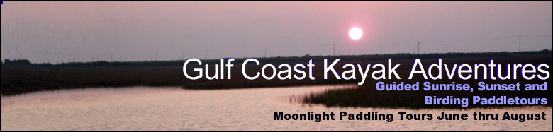 Gulf Coast Kayak Adventures